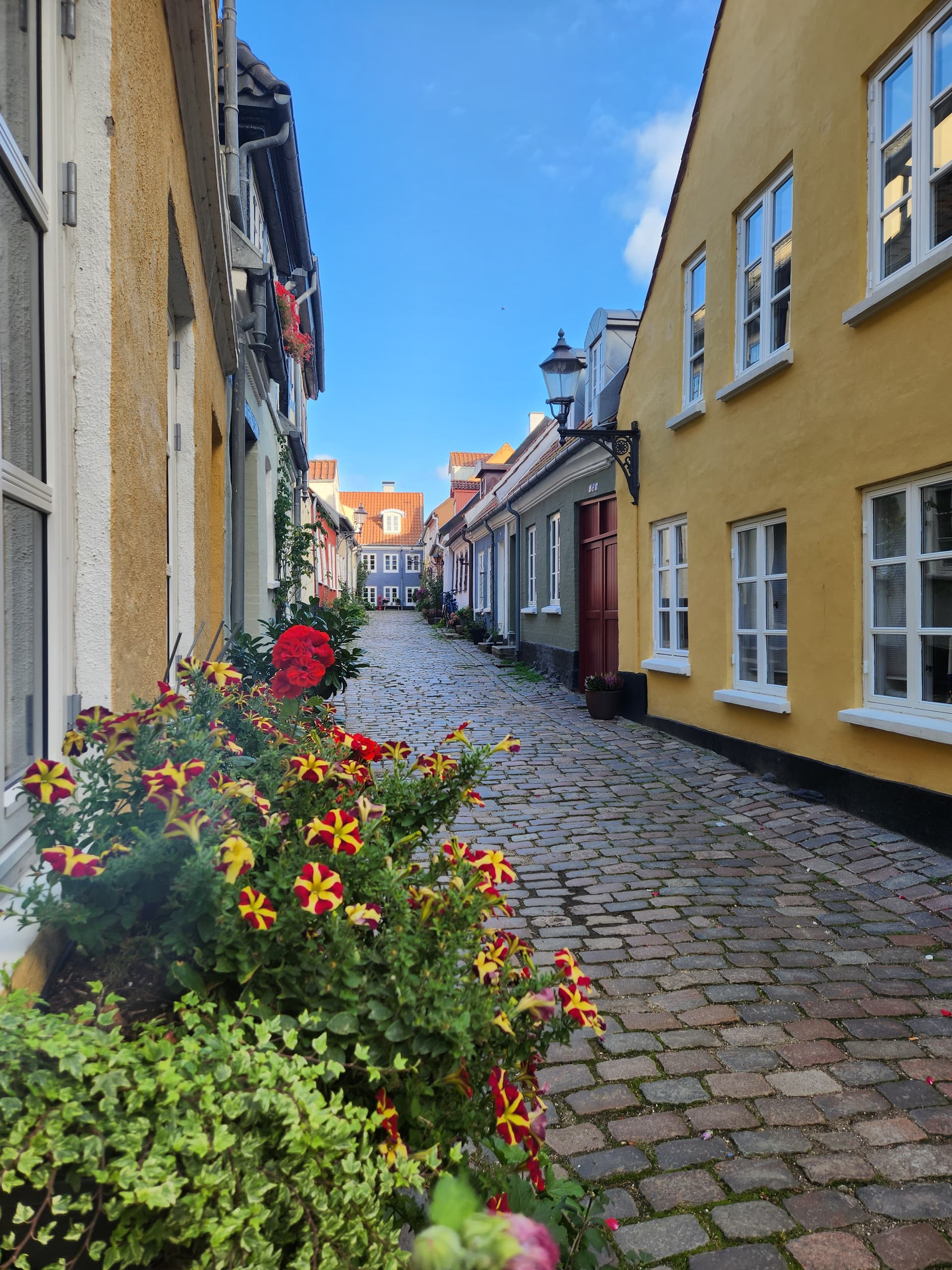 Ольборг: тысячелетний город на Лимфьорде – Day 1 – image 3