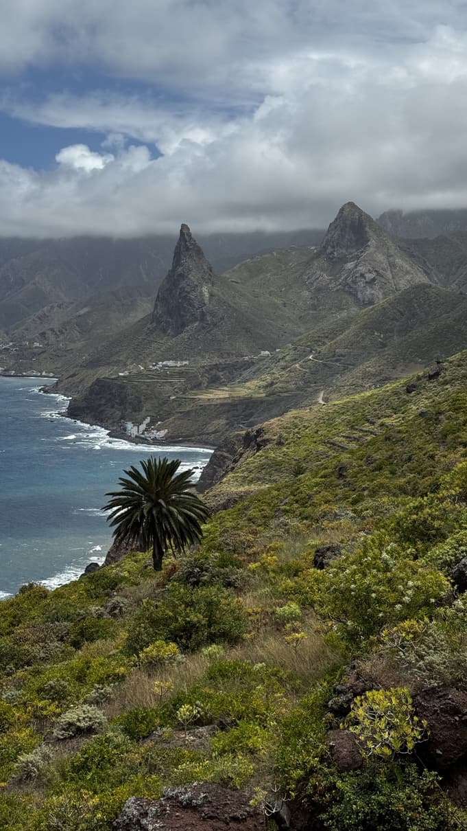 8 дней: Тенерифе — Лунный пейзаж, Таганана и Чинамада – Tenerife, Spain