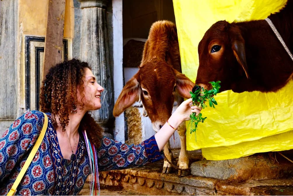 Гималаи - путь к себе – Delhi, India – photo 2