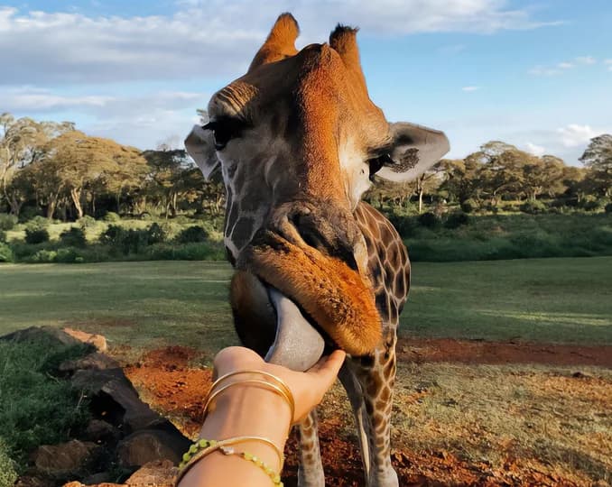 ЮАР и Намибия: африканский роад-трип за 14 дней