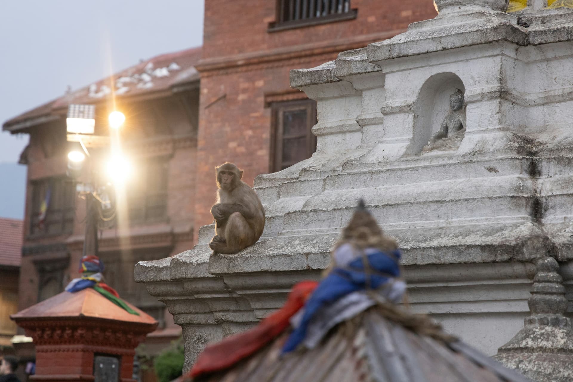 Непал за 8 дней: Катманду, Покхара и горы Гималаев – Day 1 – image 4