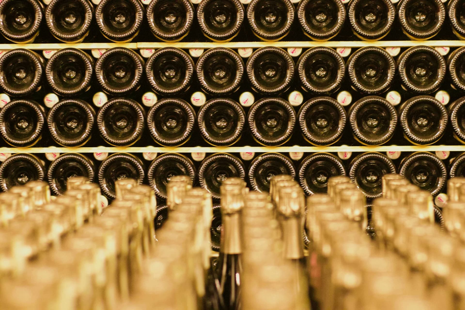 Винный тур из Вероны в долину Франчакорта (итальянское шампанское) – Franciacorta, Italy – photo 3