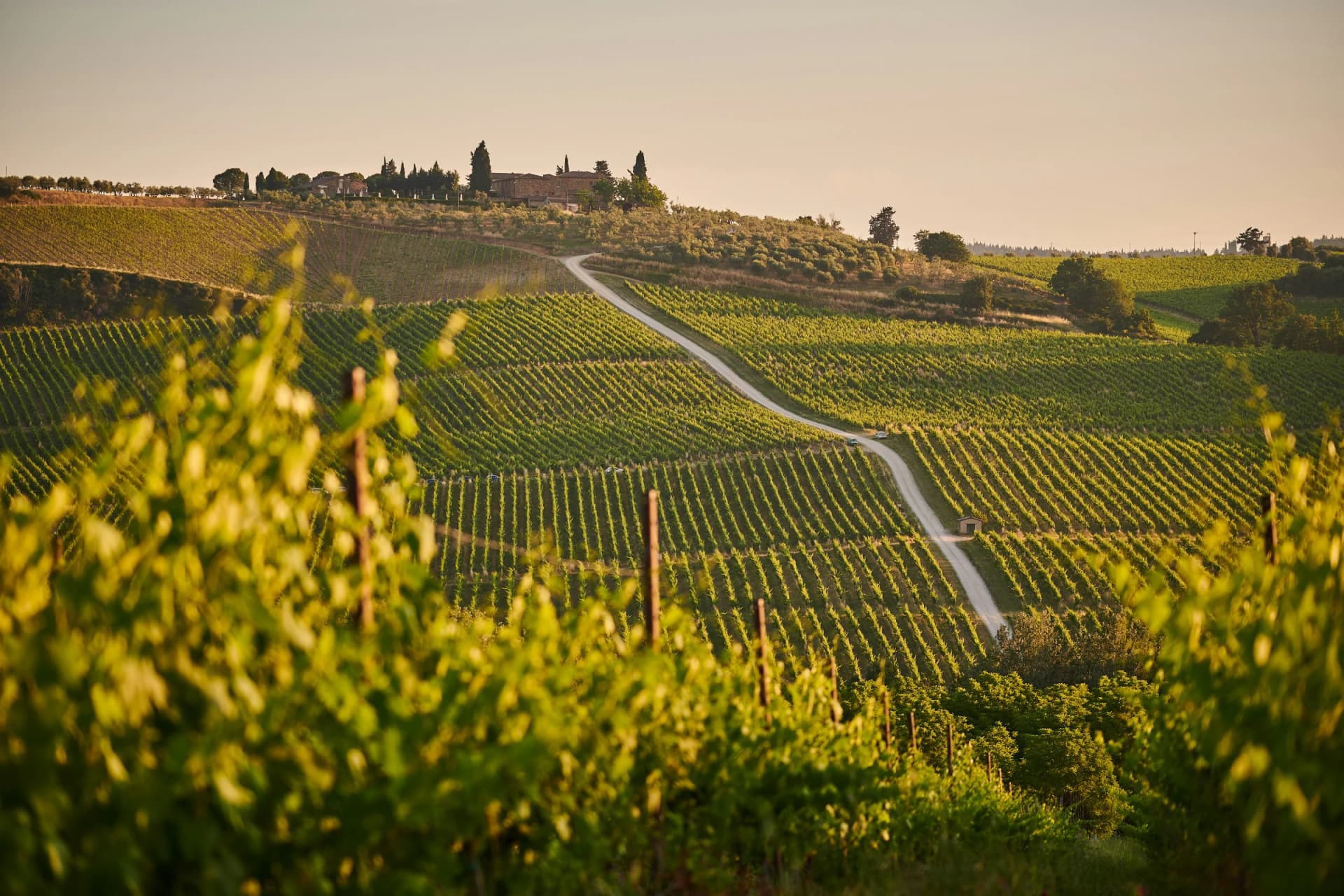 Винный тур из Вероны в долину Франчакорта (итальянское шампанское) – Franciacorta, Italy