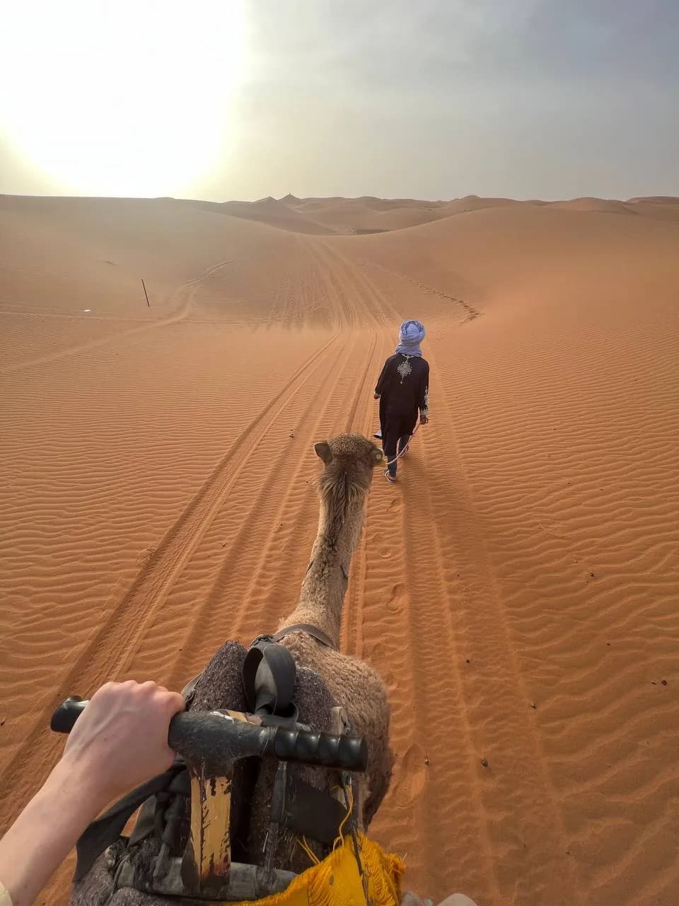 Настоящее Королевство Марокко и ночь в Сахаре – Casablanca, Morocco – photo 2