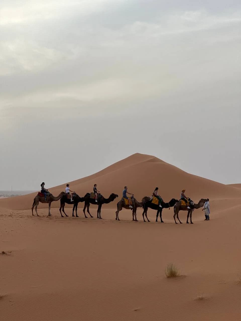 Настоящее Королевство Марокко и ночь в Сахаре – Casablanca, Morocco – photo 3