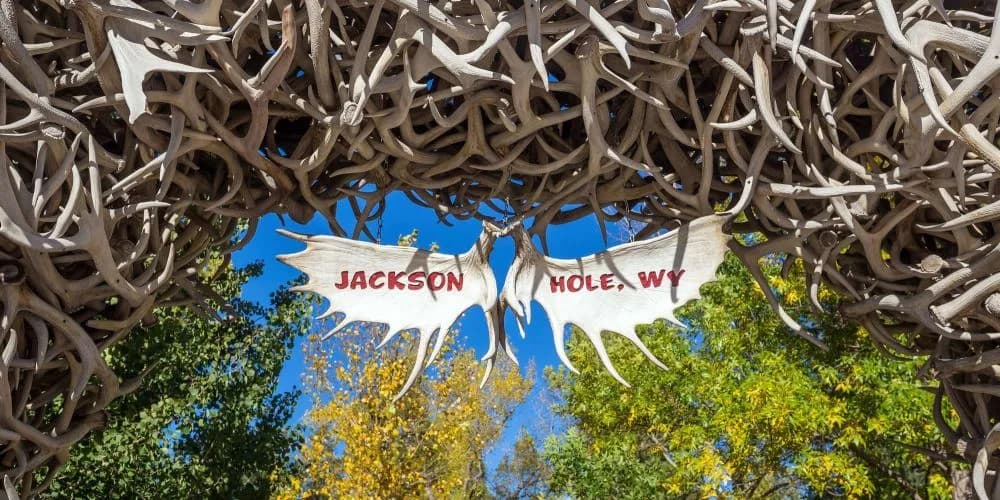 Йеллоустоун и Гранд Титон – Salt Lake City, United States – photo 3