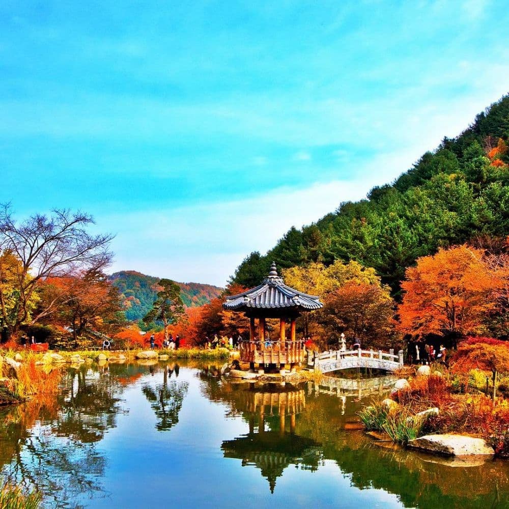 В Южную Корею в самые красивые сезоны – Seoul, South Korea