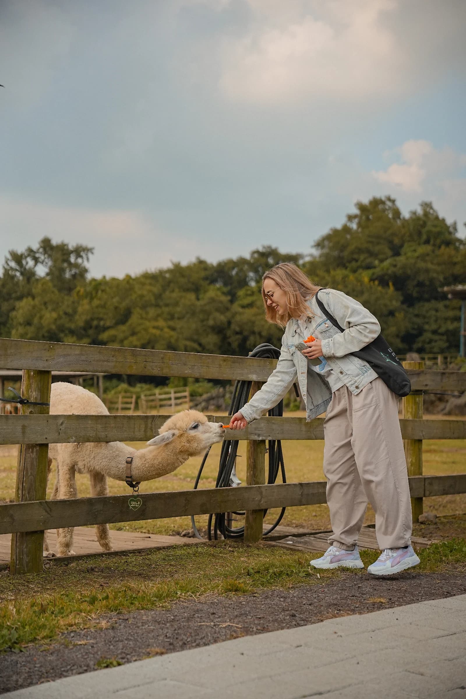 Лето в Корее: Сеул-Пусан-Чеджу – Seoul, South Korea – photo 3