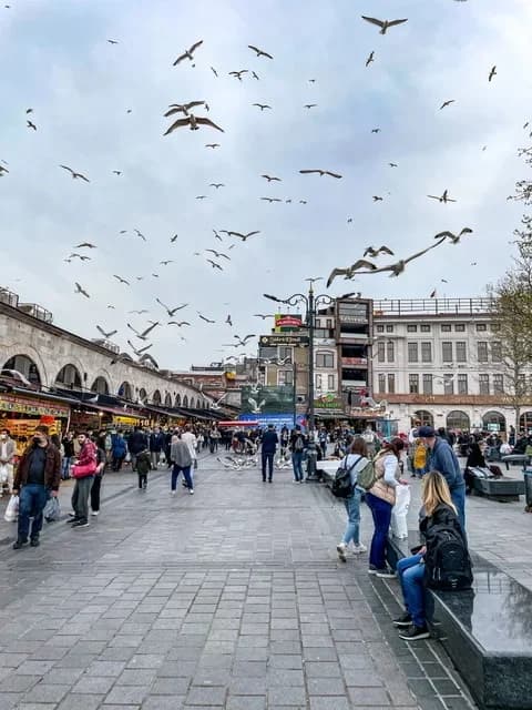 Стамбульские каникулы (4 дн) 7