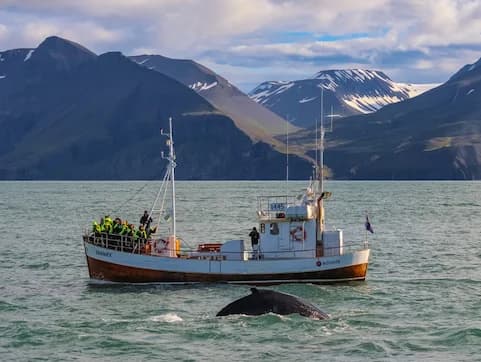 6 дней - Исландия тур стандарт 4