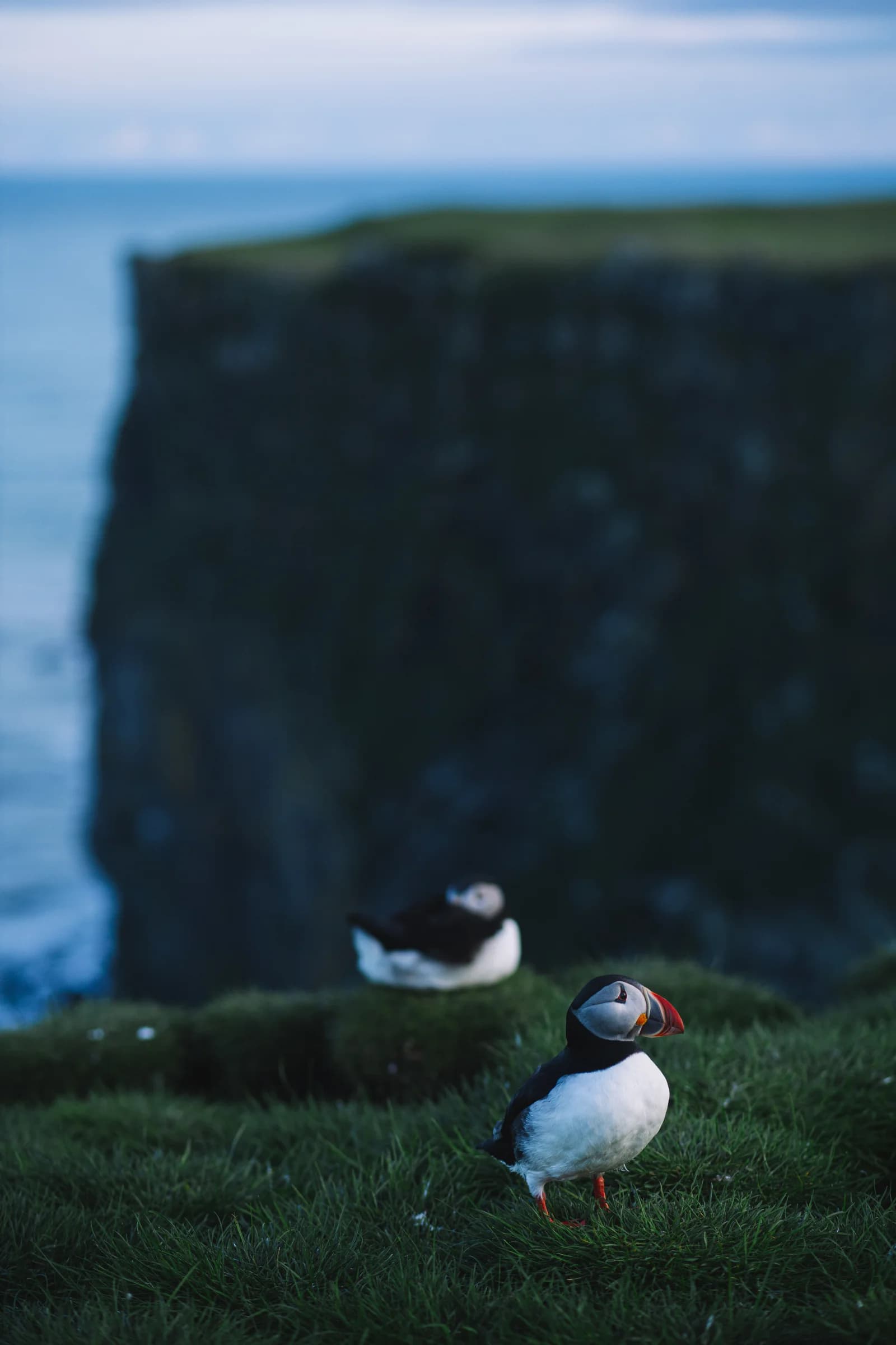 Исландия: охота на северное сияние — тур по Южному кольцу, сентябрь 2026 image 3