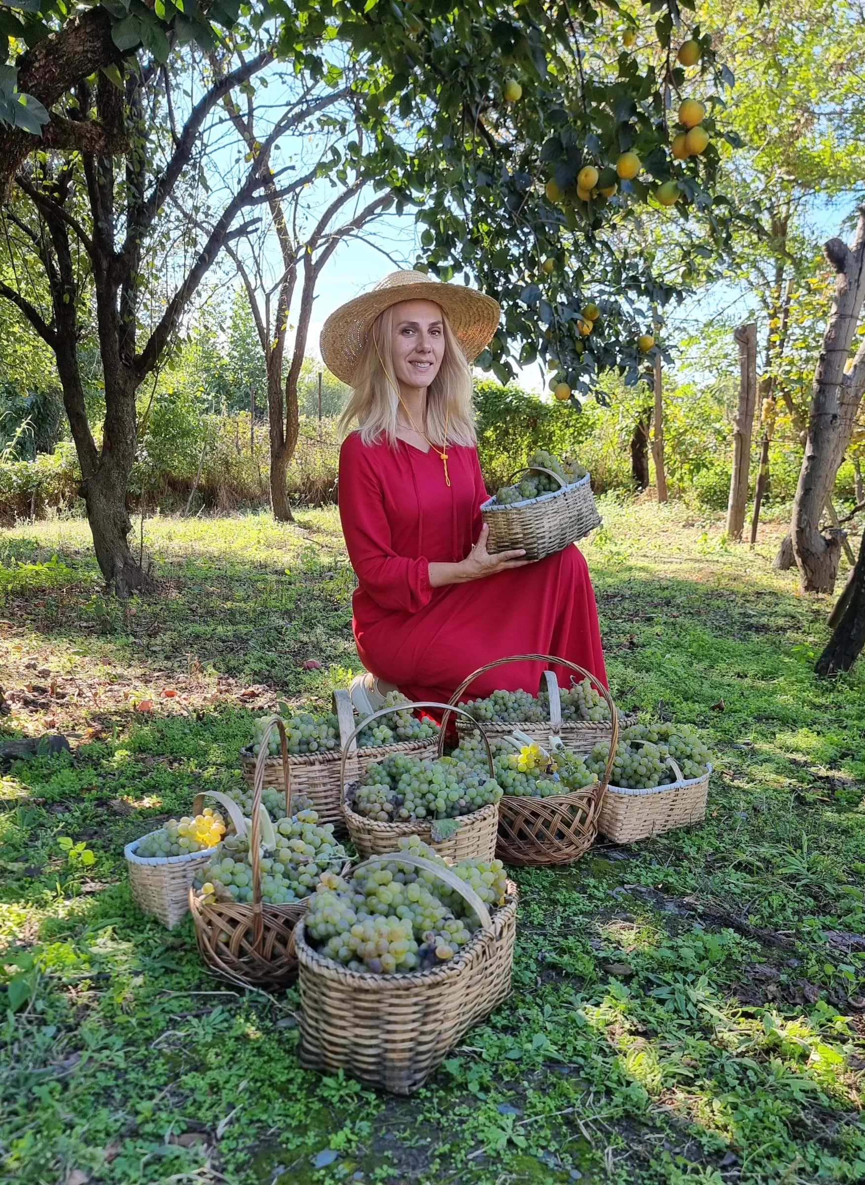 Ртвели - сбор винограда в Грузии. Путешествие к истокам вина image 2