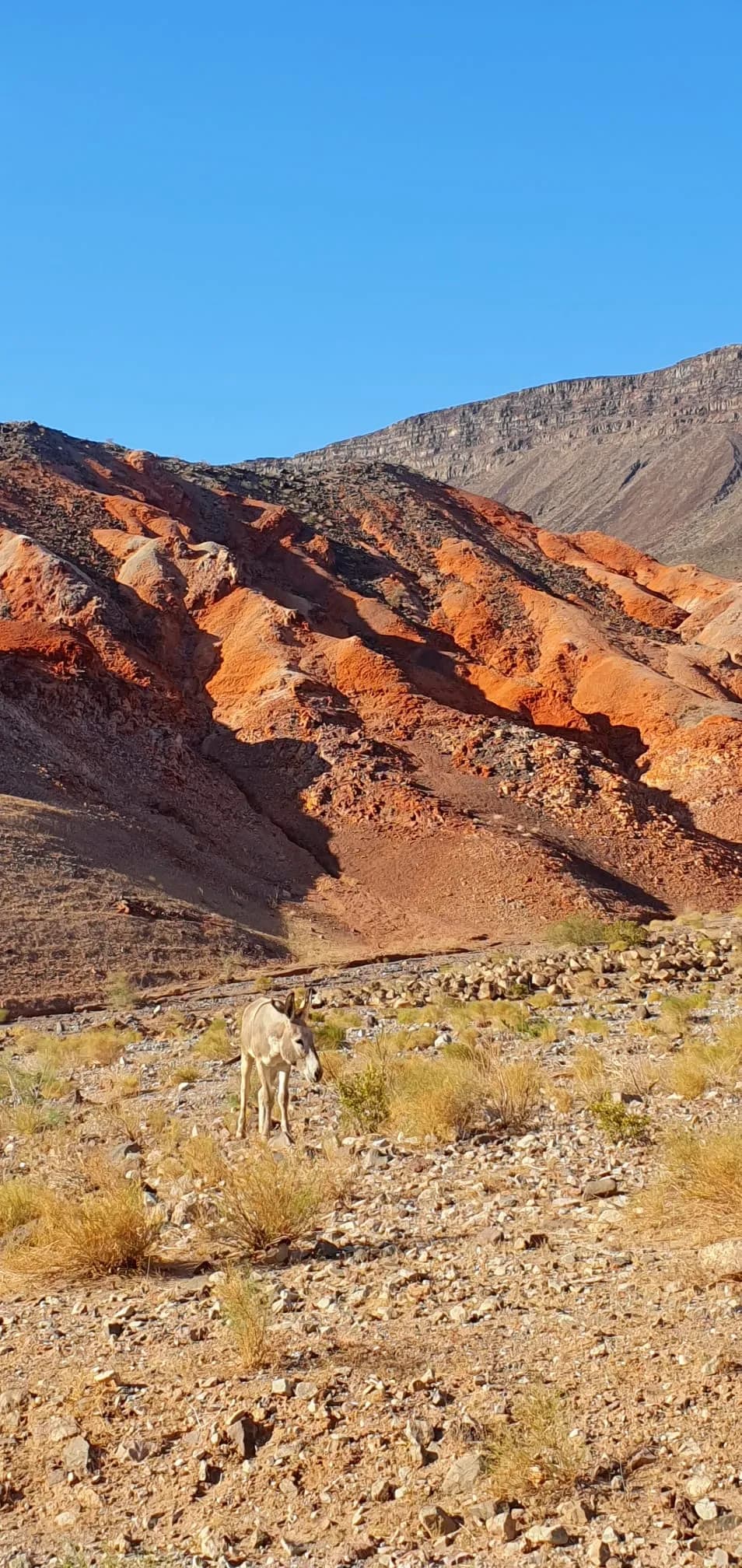 Северный Рим и каньоны Большой Геологической лестницы (4 дня) – Las Vegas, United States – photo 2