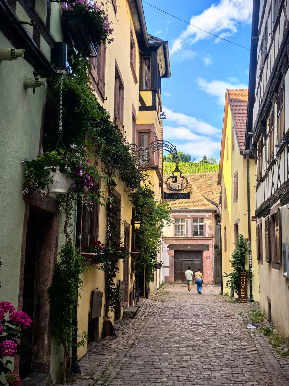 Жемчужины Эльзаса и винные дегустации – Strasbourg, France – photo 3