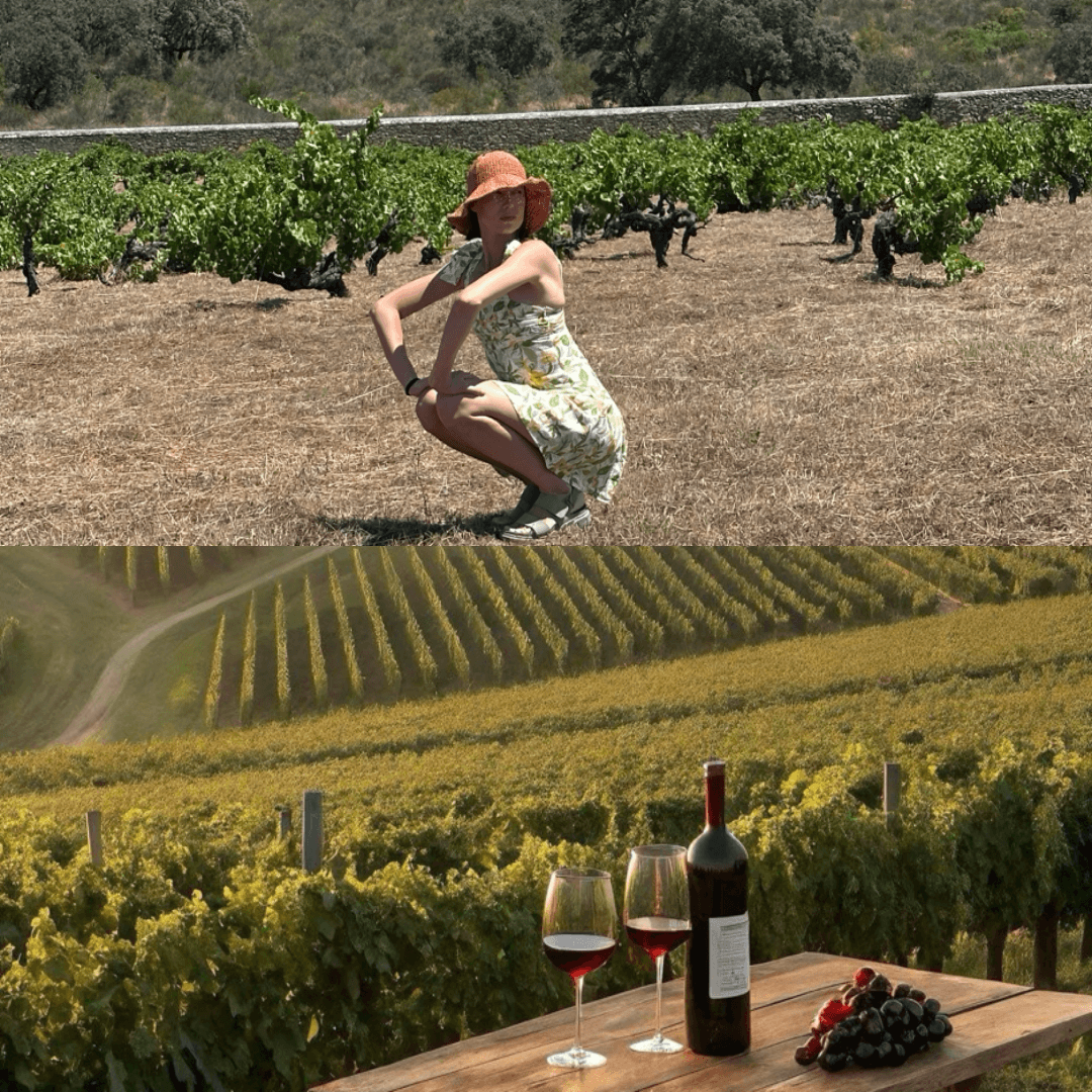 Путешествие по дворцам и замкам Португалии 4