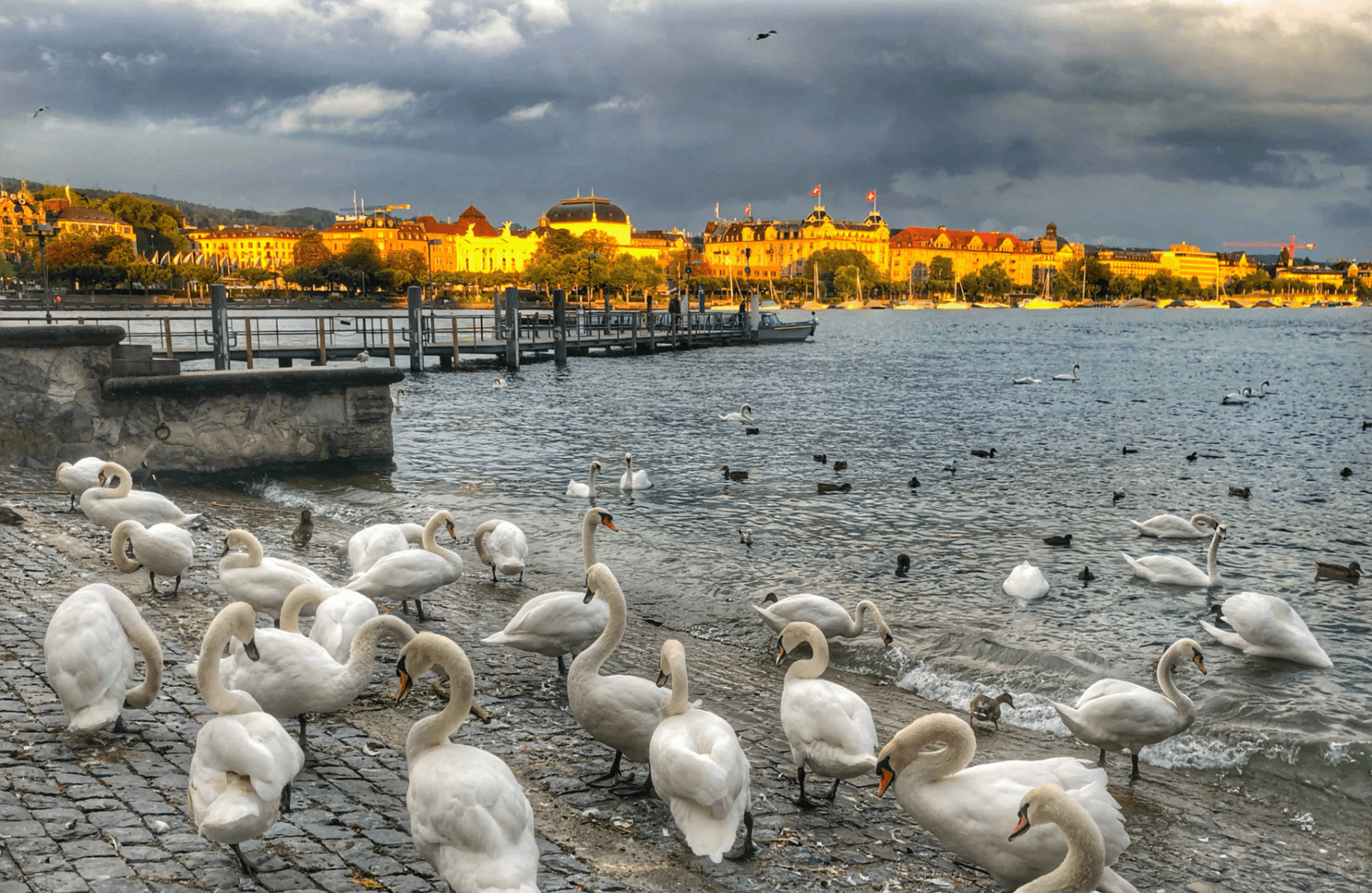 Пешеходка по Цюриху – Zurich, Switzerland – photo 3