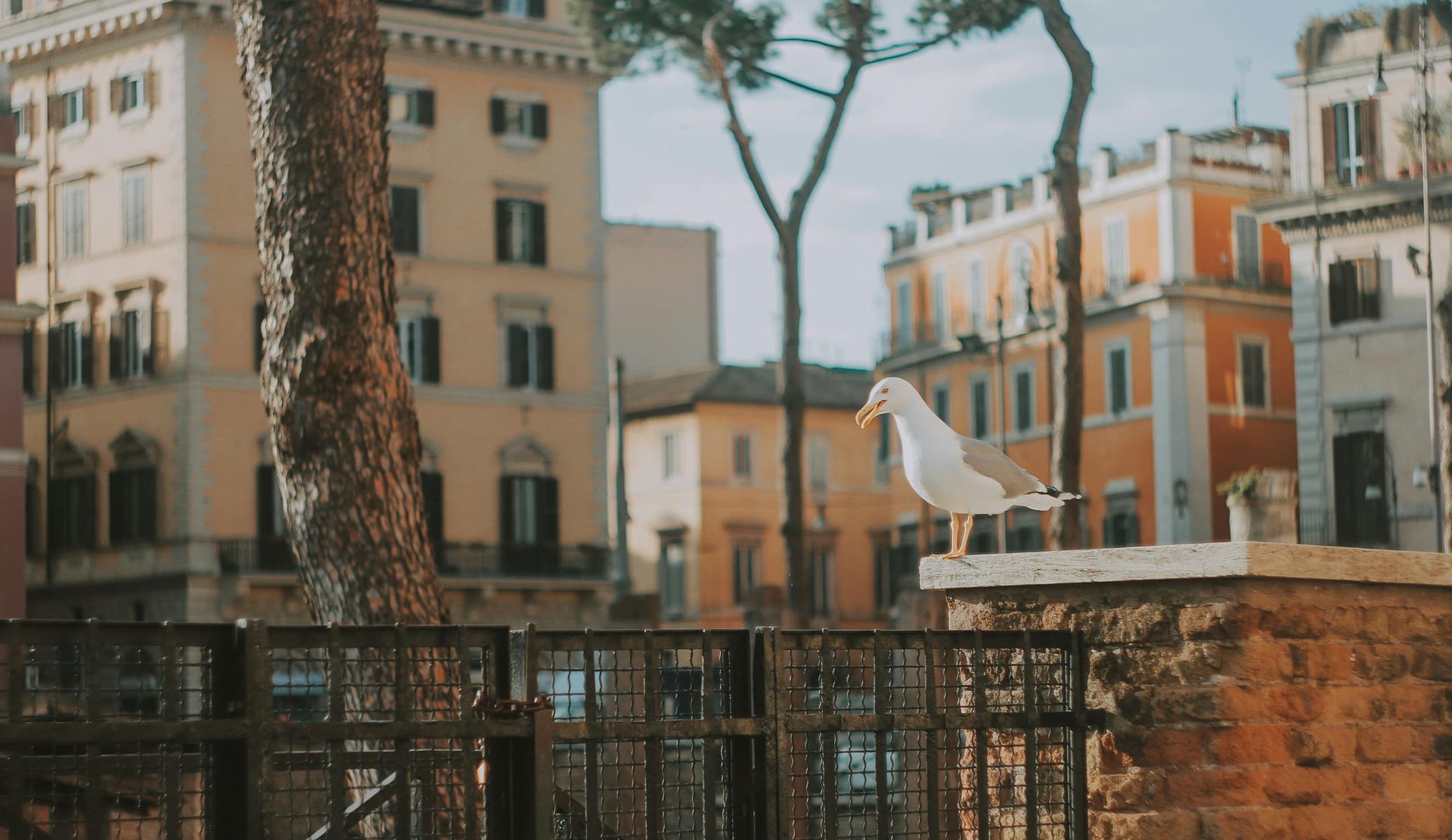 Сокровища Рима: индивидуальная прогулка — всё за 2,5 часа – Rome, Italy