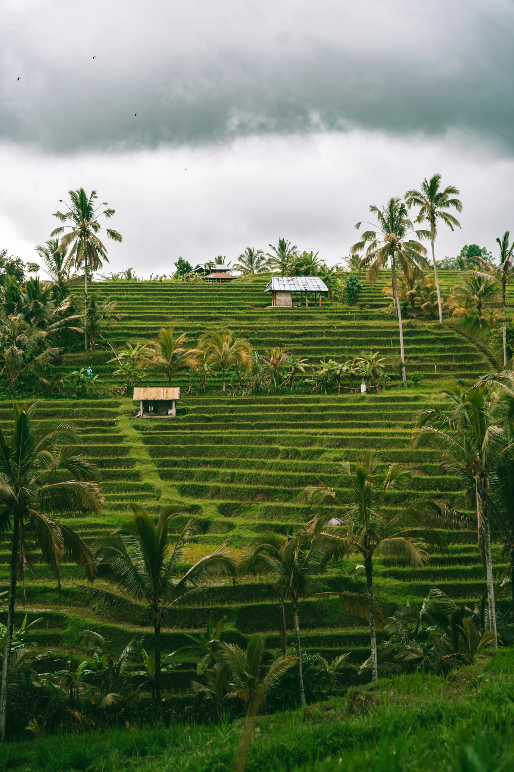 Бали: йога-ретрит и путешествие по острову – Bali, Indonesia
