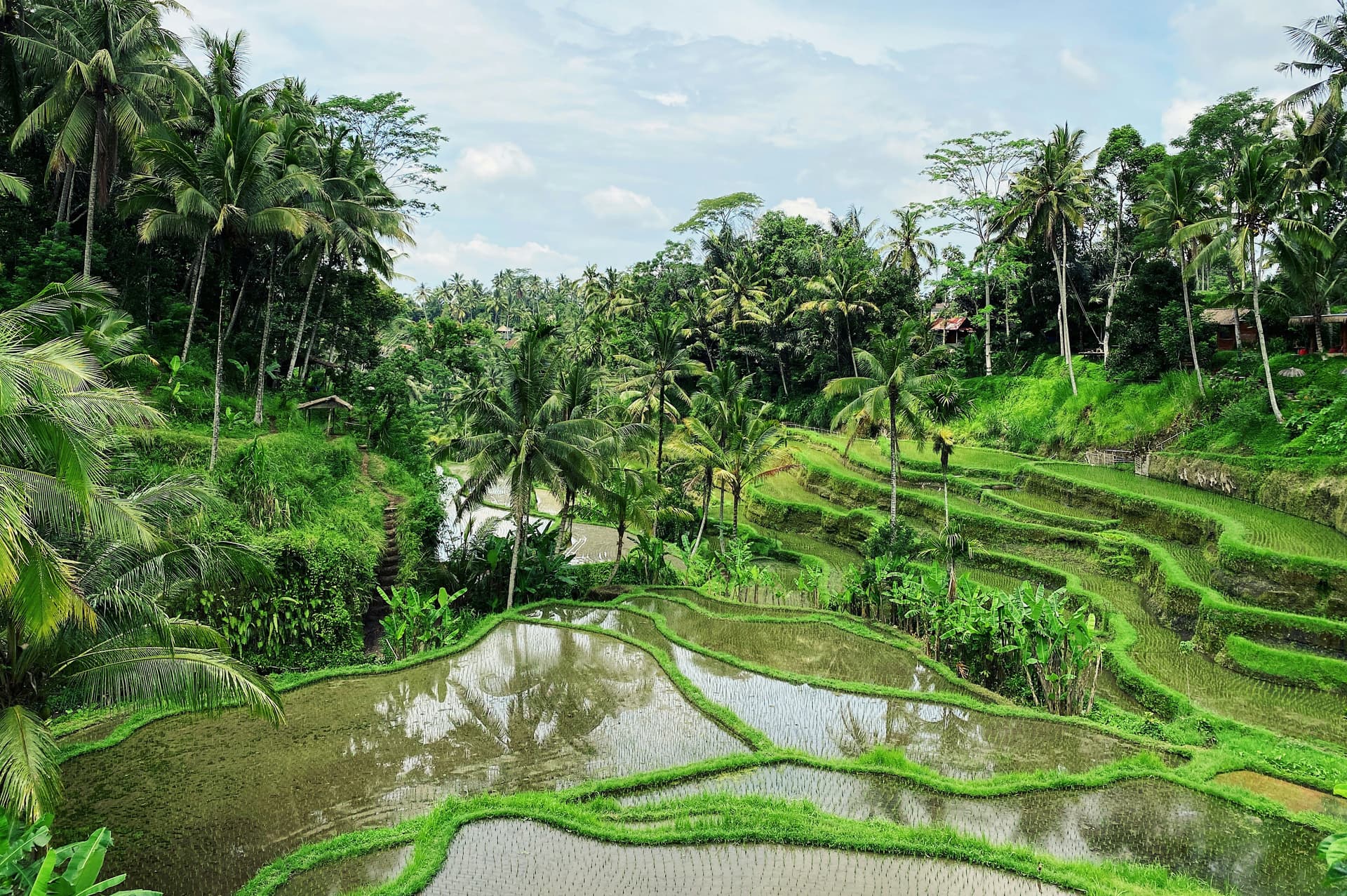 Тёплый Слёт: ретрит на Бали — йога, медитация и балийские ритуалы – Ubud, Indonesia