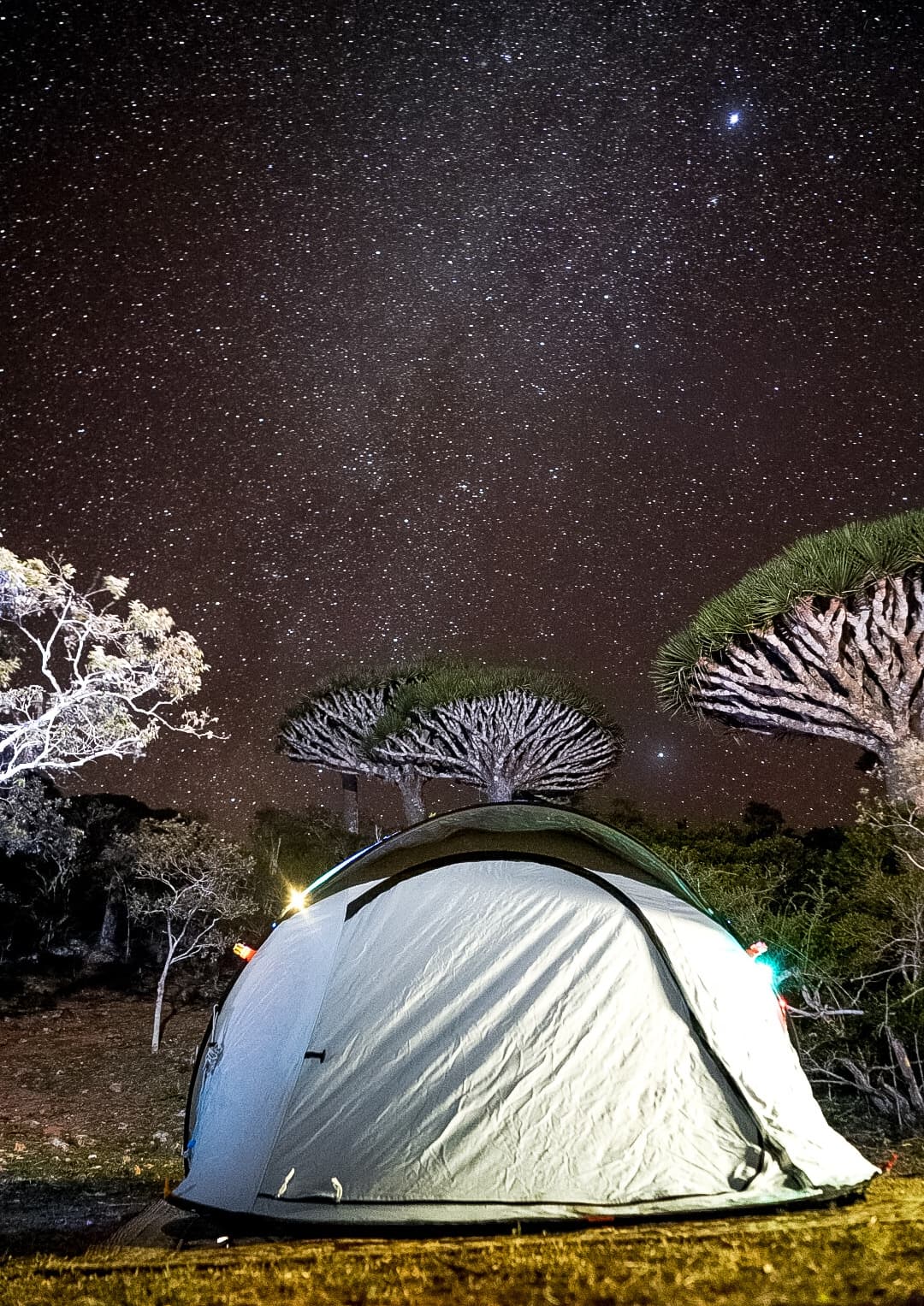 Экспедиция на Сокотру в спортивных палатках – Socotra, Yemen – photo 2
